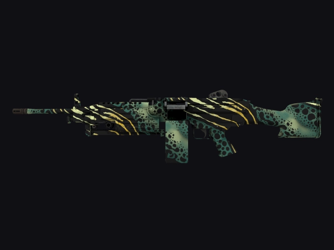 skin preview seed 923