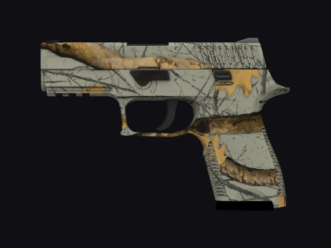 skin preview seed 907