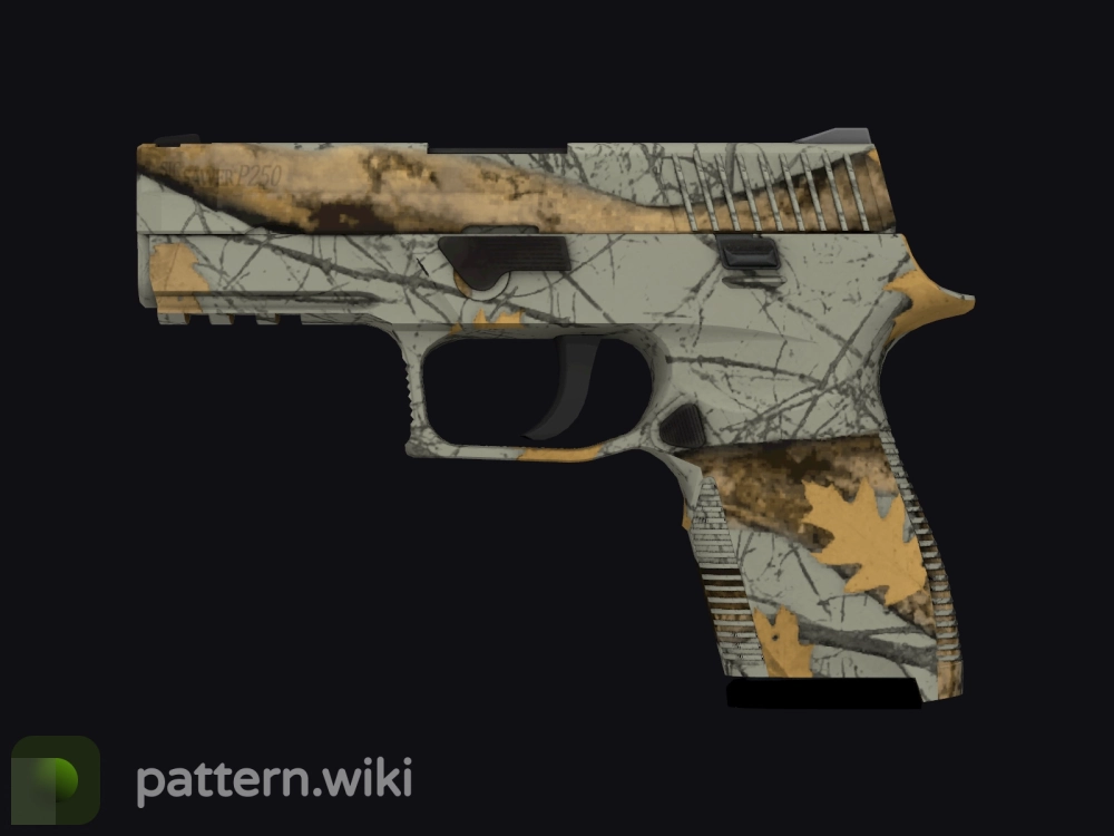 P250 Modern Hunter seed 729