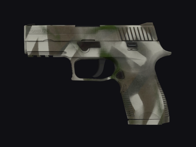 skin preview seed 901