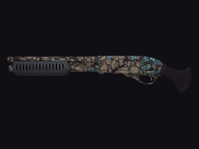 skin preview seed 284