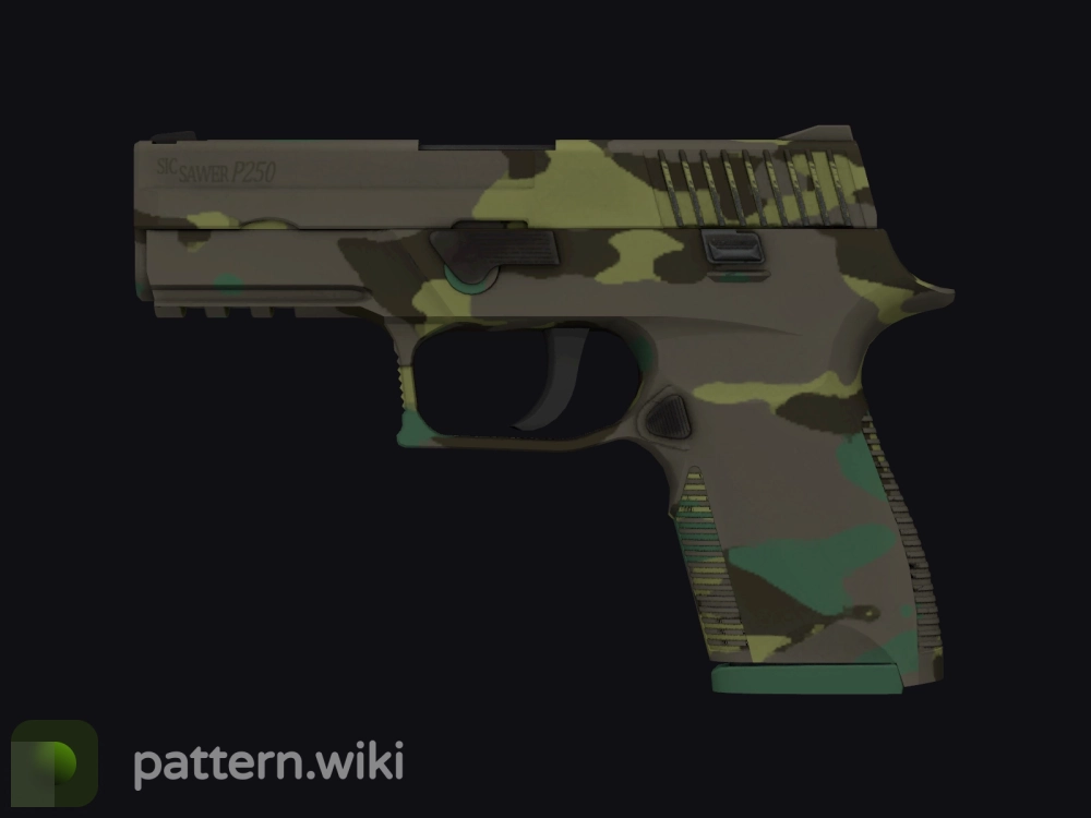 P250 Boreal Forest seed 42