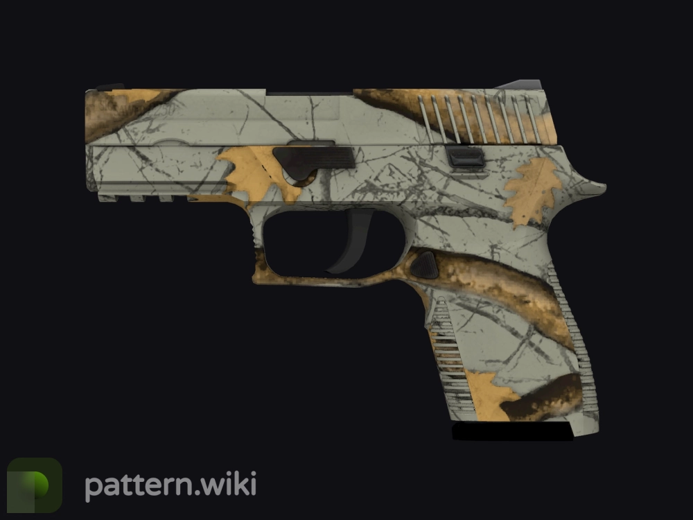 P250 Modern Hunter seed 804