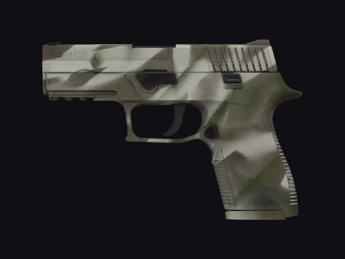 skin preview seed 493