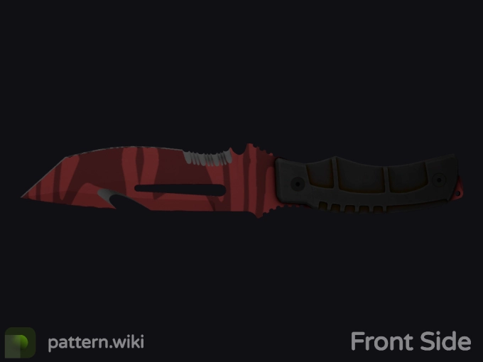 skin preview seed 763