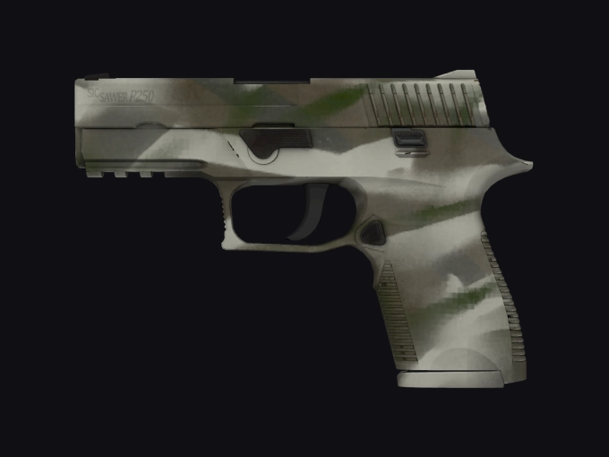 skin preview seed 341