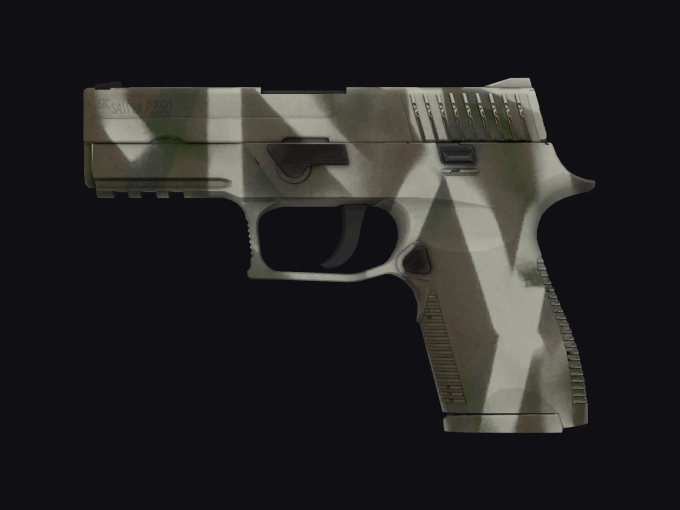 skin preview seed 262