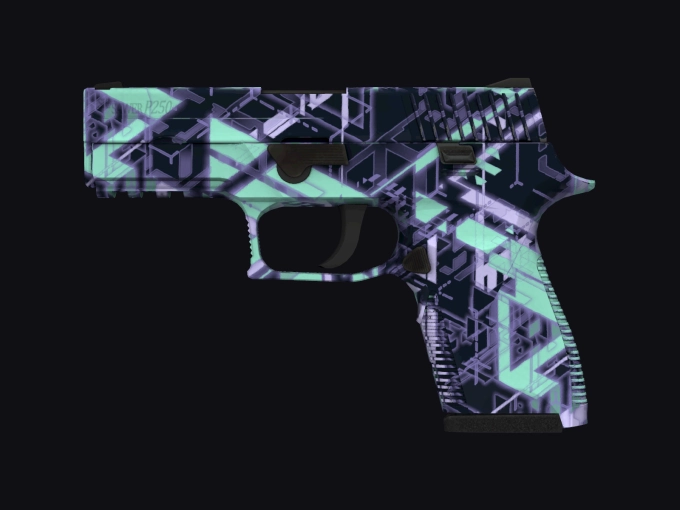 skin preview seed 989