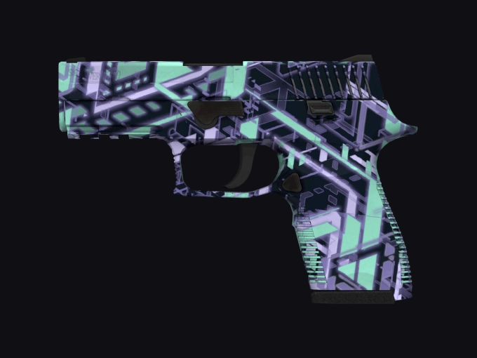 skin preview seed 892