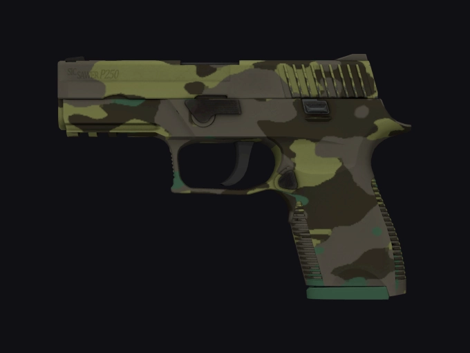 skin preview seed 902