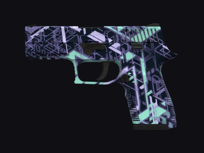 skin preview seed 790