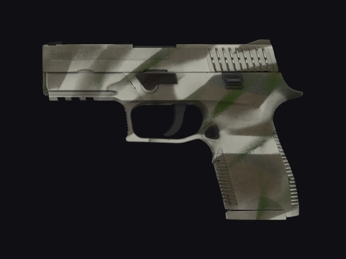 skin preview seed 938