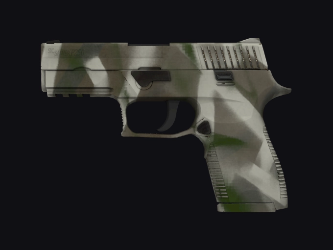 skin preview seed 312