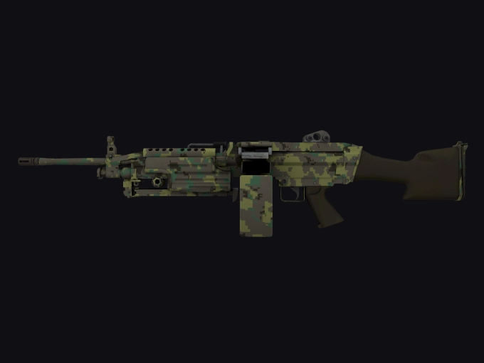 skin preview seed 224