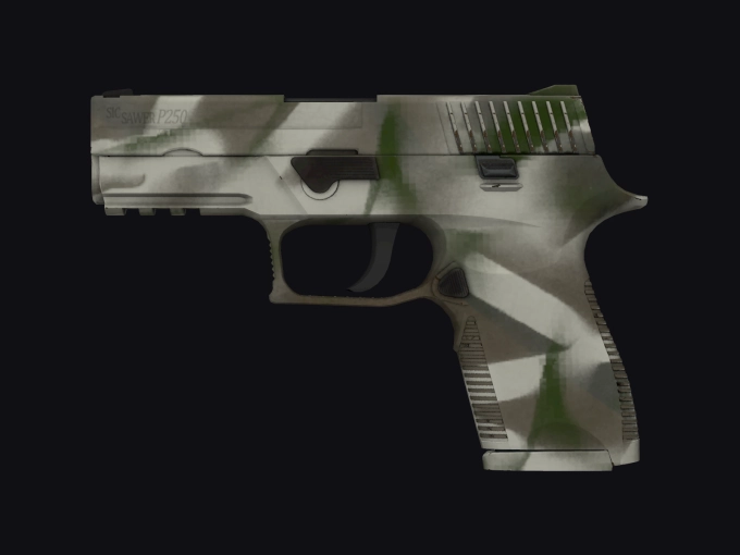 skin preview seed 359