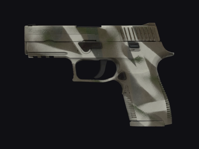 skin preview seed 377