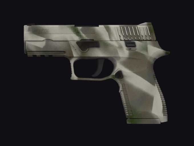 skin preview seed 389