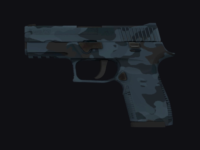 skin preview seed 904