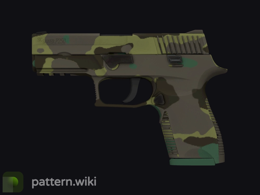 P250 Boreal Forest seed 498