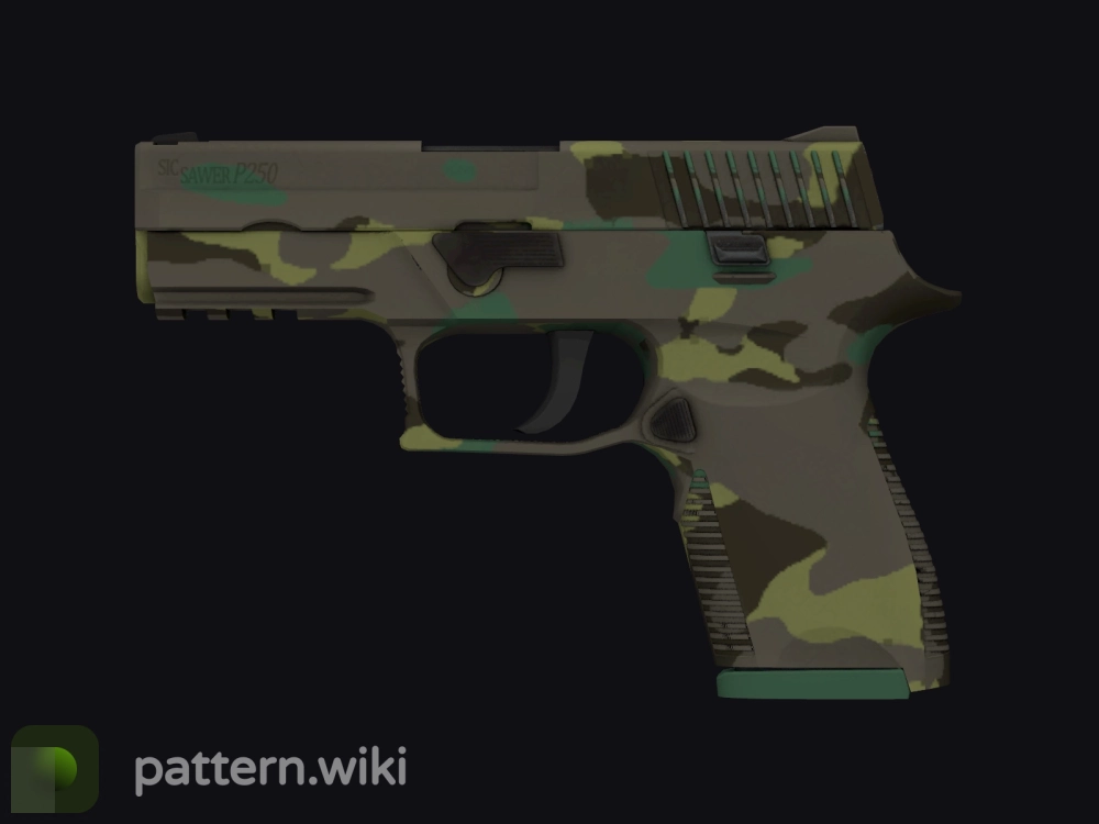 P250 Boreal Forest seed 901