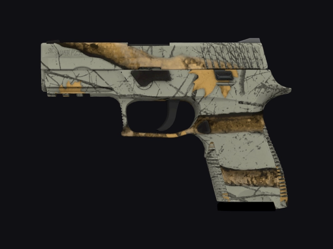 skin preview seed 456