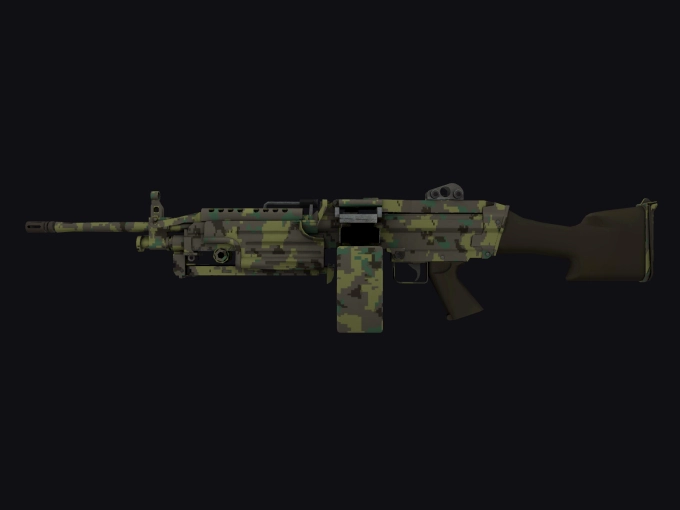 skin preview seed 905