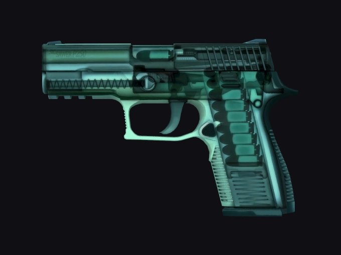 P250 X-Ray preview