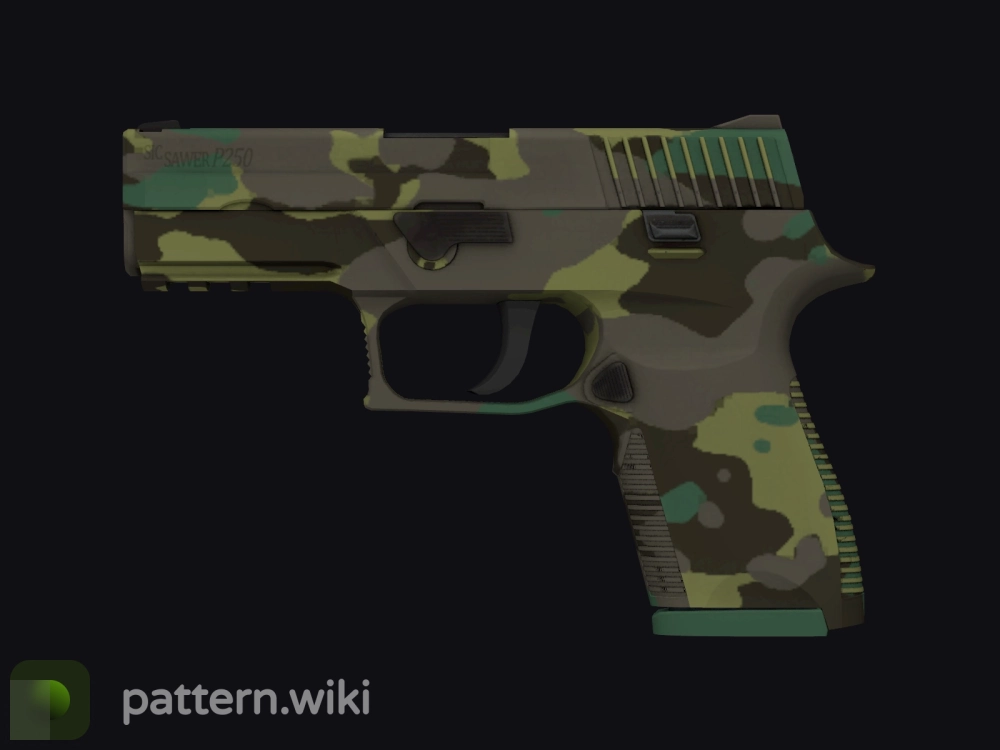 P250 Boreal Forest seed 41