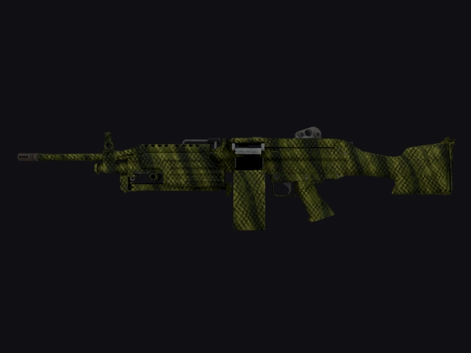 skin preview seed 666