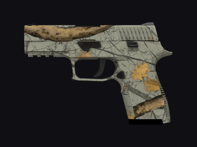 skin preview seed 961