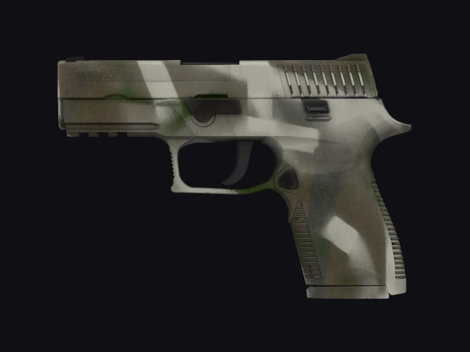 skin preview seed 860