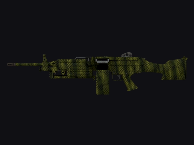 skin preview seed 113