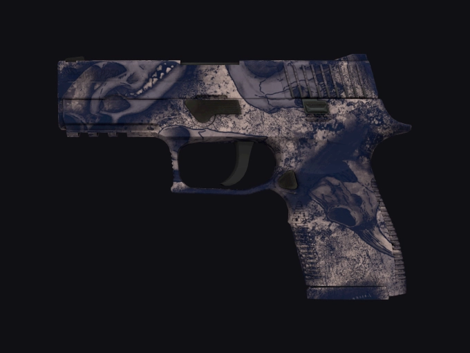 skin preview seed 312