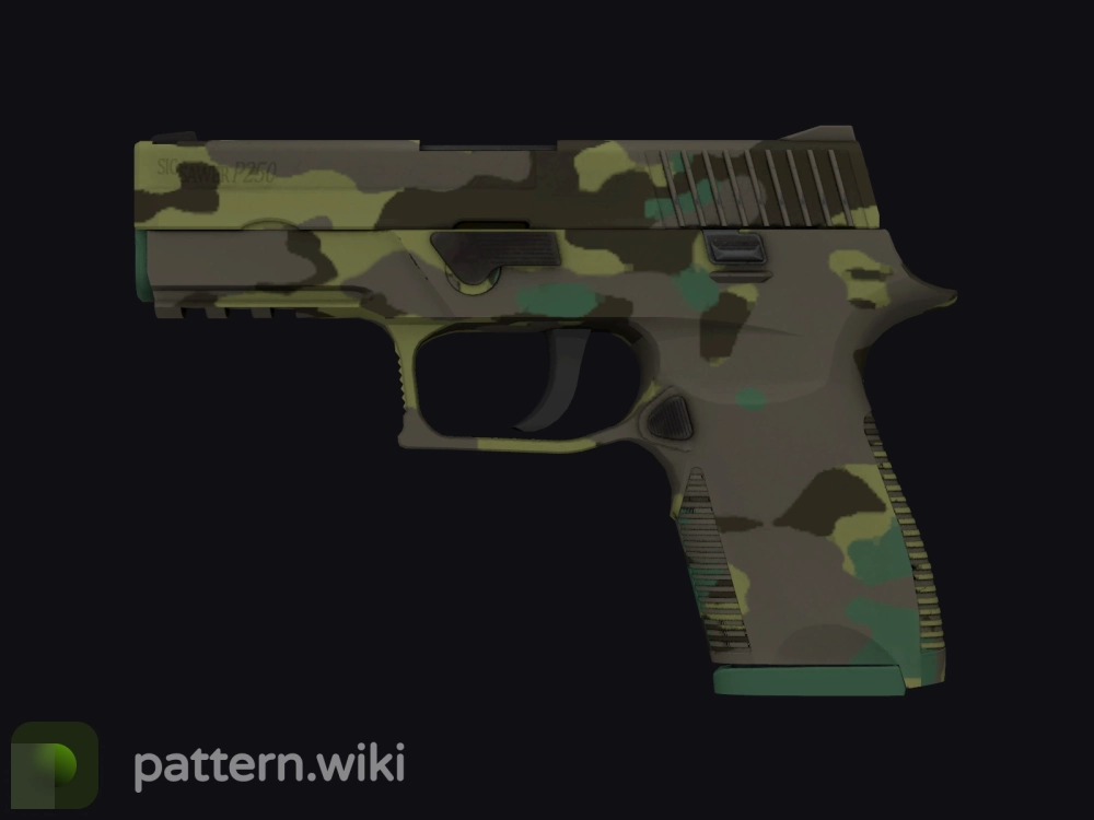 P250 Boreal Forest seed 955