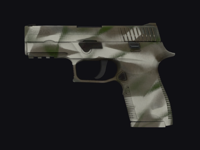 skin preview seed 937