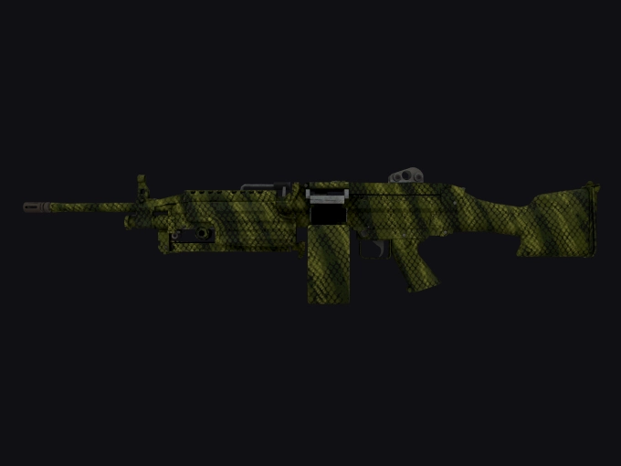 skin preview seed 916