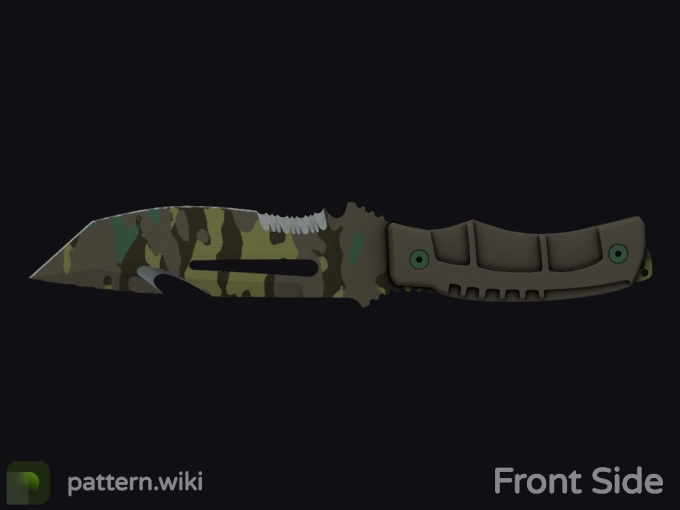 skin preview seed 270