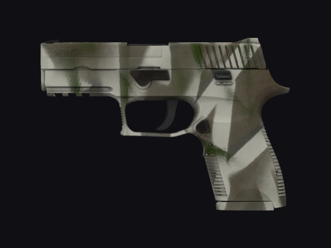 skin preview seed 661