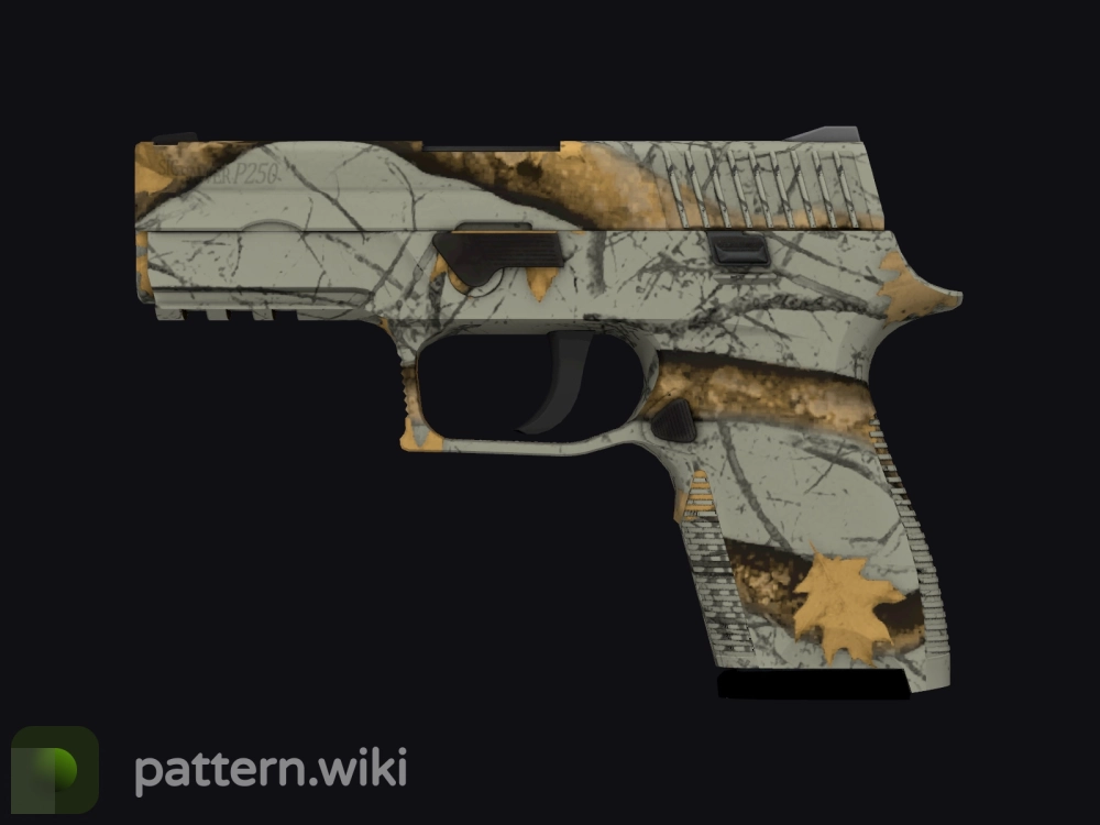 P250 Modern Hunter seed 801