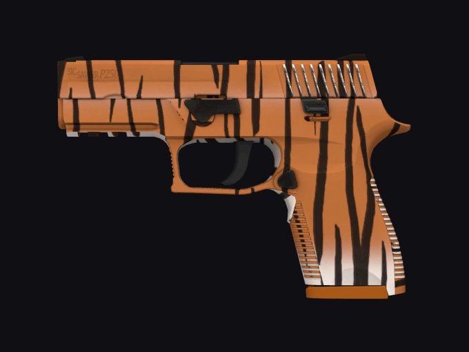 skin preview seed 903