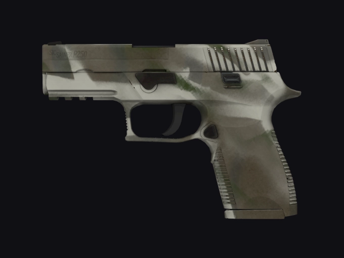 skin preview seed 302