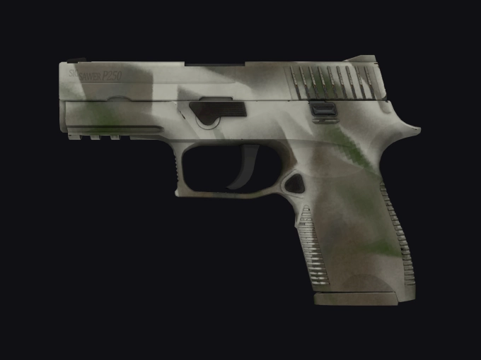 skin preview seed 37