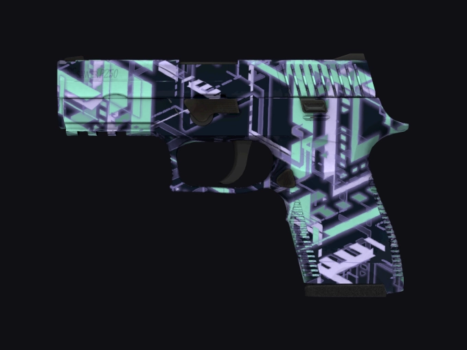 skin preview seed 910