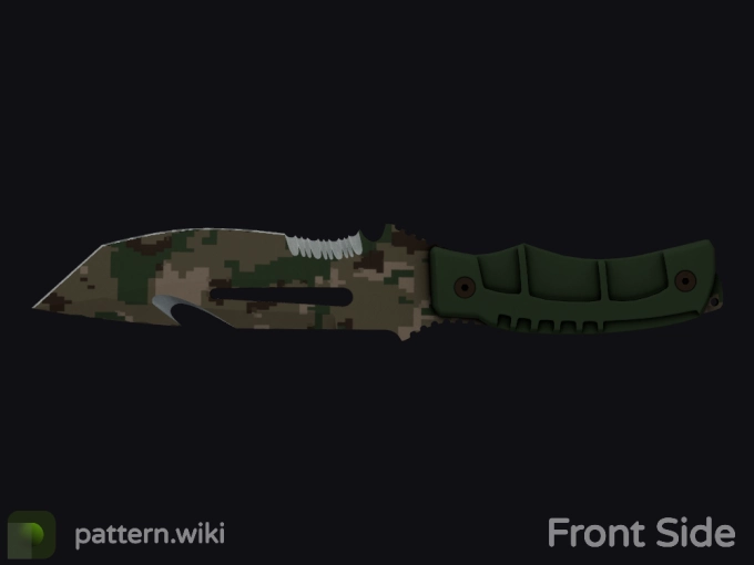 skin preview seed 608