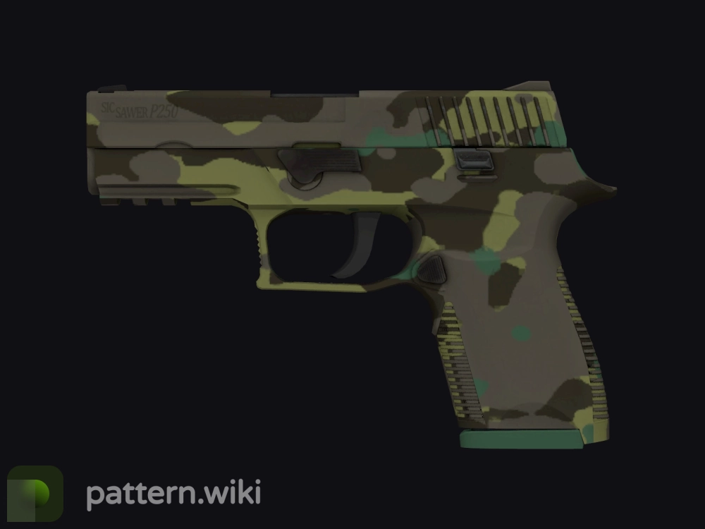 P250 Boreal Forest seed 80