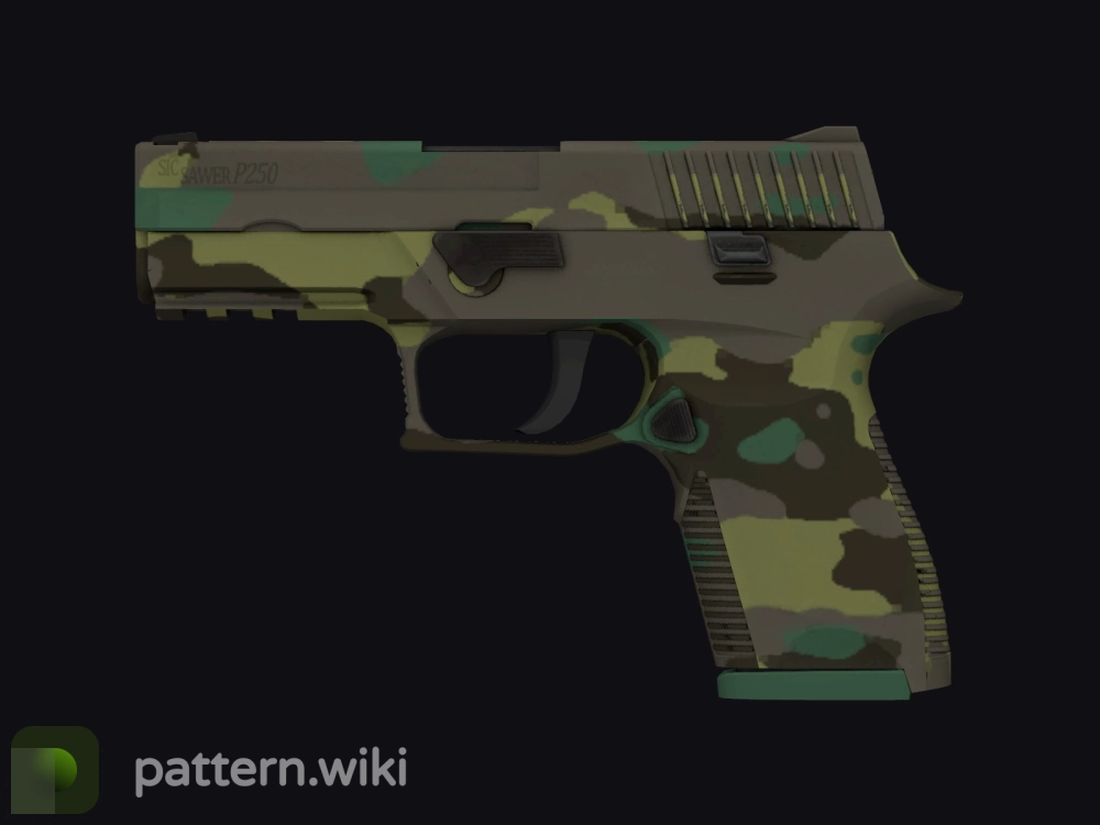 P250 Boreal Forest seed 641