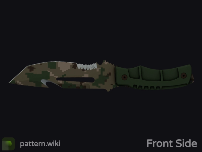 skin preview seed 257