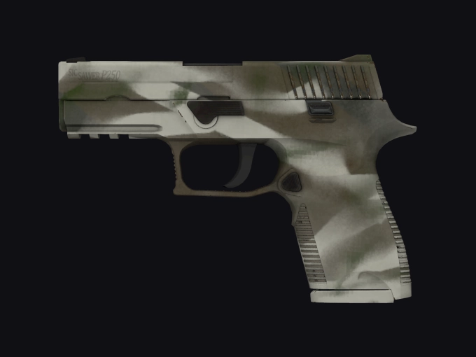 skin preview seed 456