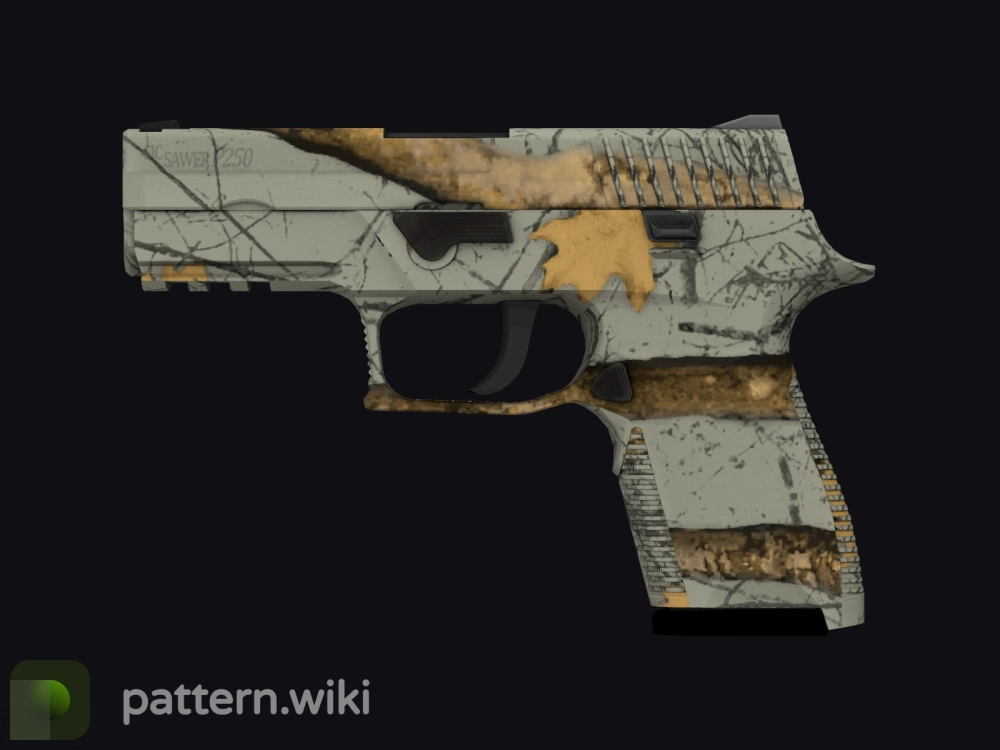 P250 Modern Hunter seed 681