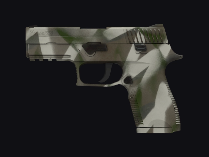 skin preview seed 909